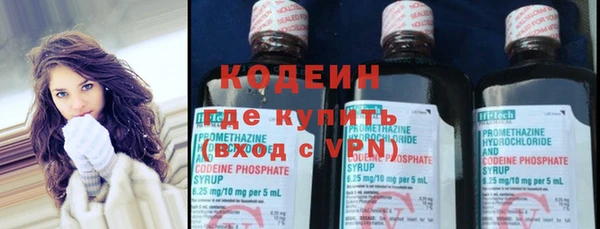 прущие грибы Иннополис