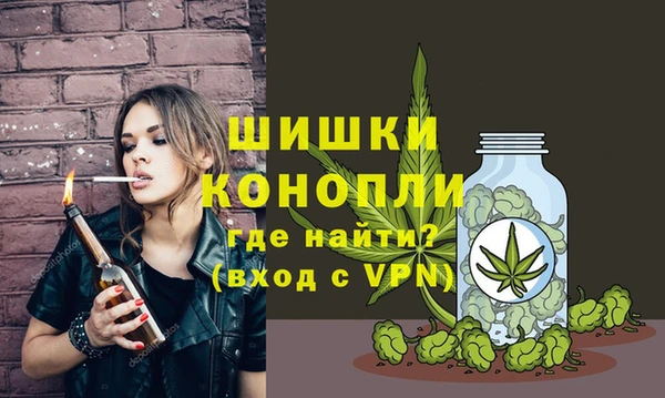 прущие грибы Иннополис