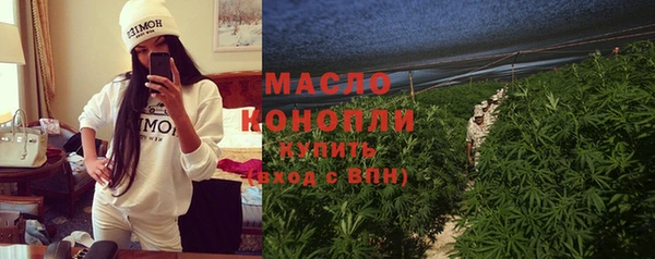 прущие грибы Иннополис