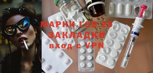 прущие грибы Иннополис