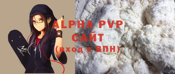 прущие грибы Иннополис