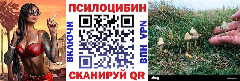 Галлюциногенные грибы MAGIC MUSHROOMS  Купить  Новый Оскол 